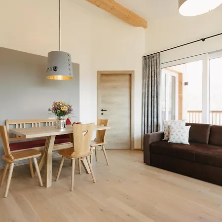 Apart33 By Apart4you 4* Haus im Ennstal